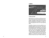 Vergiss Narziss - Bibliothek der Intrasonanz, Band 3