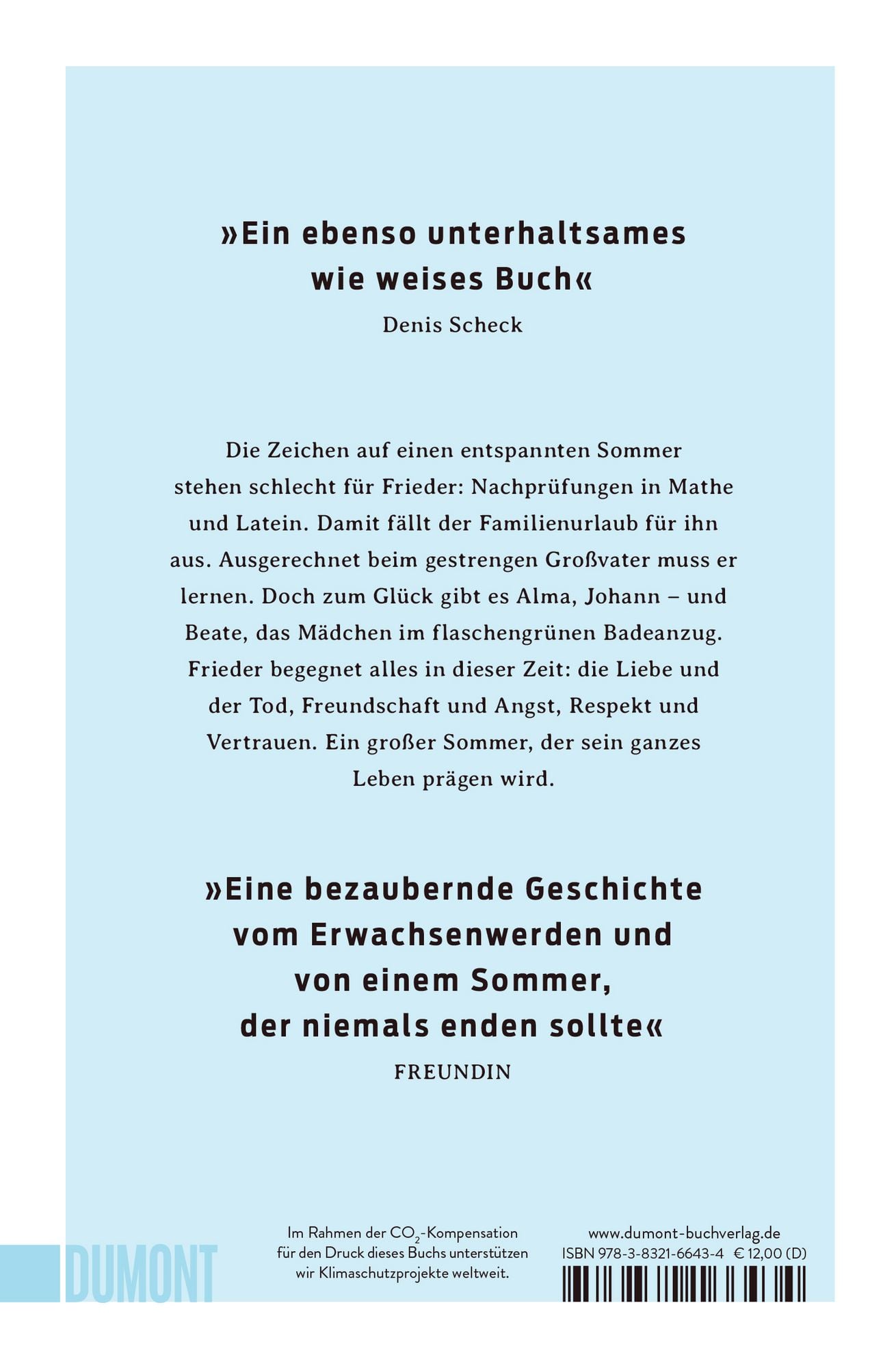 Der große Sommer - Taschenbuch