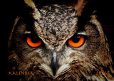 Wochenplaner Kalender 2026