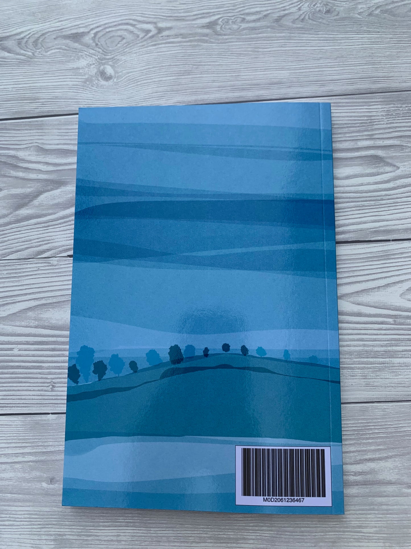 Notizbuch blau - schwarze Katze