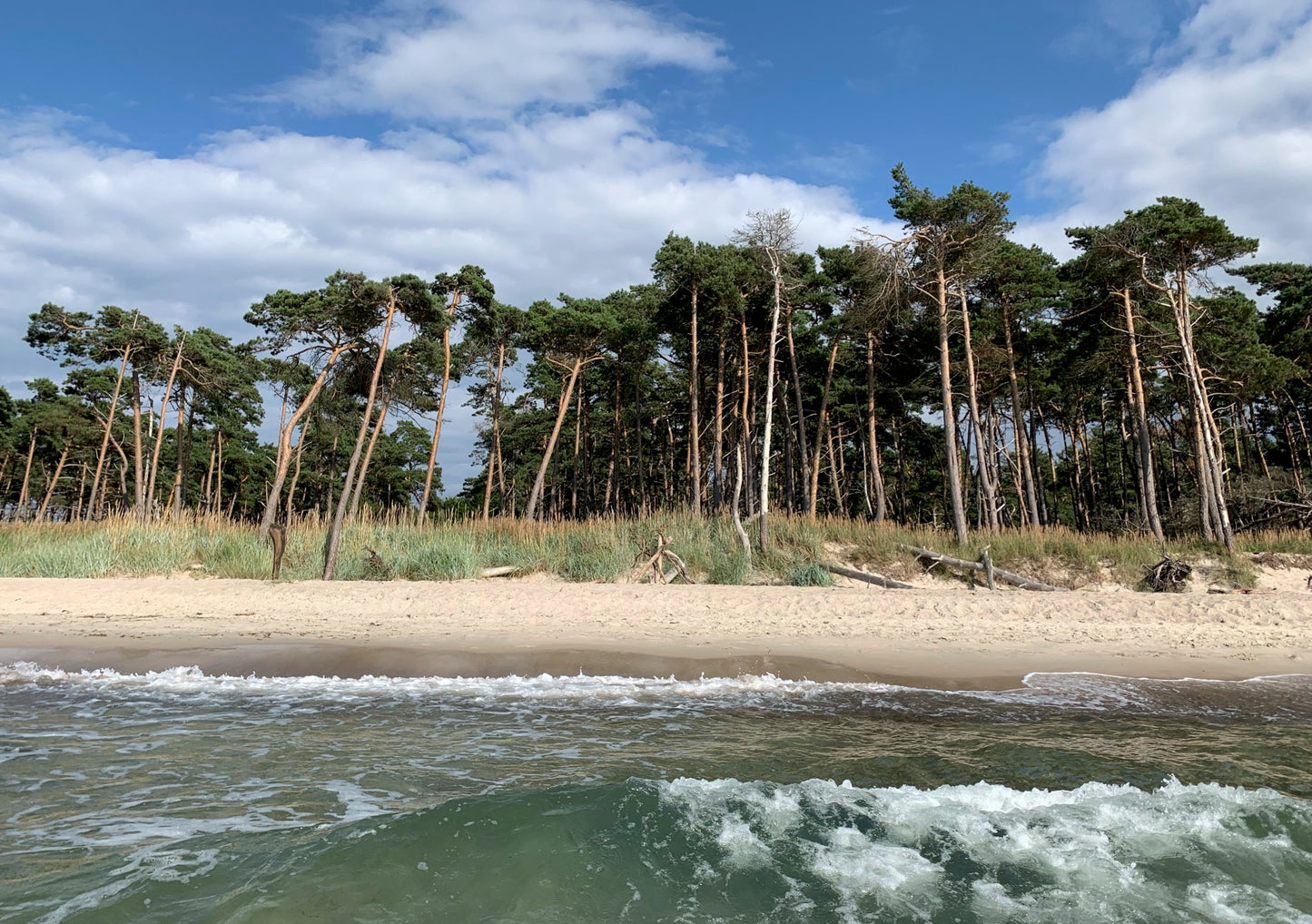 Postkarte Weststrand Darß
