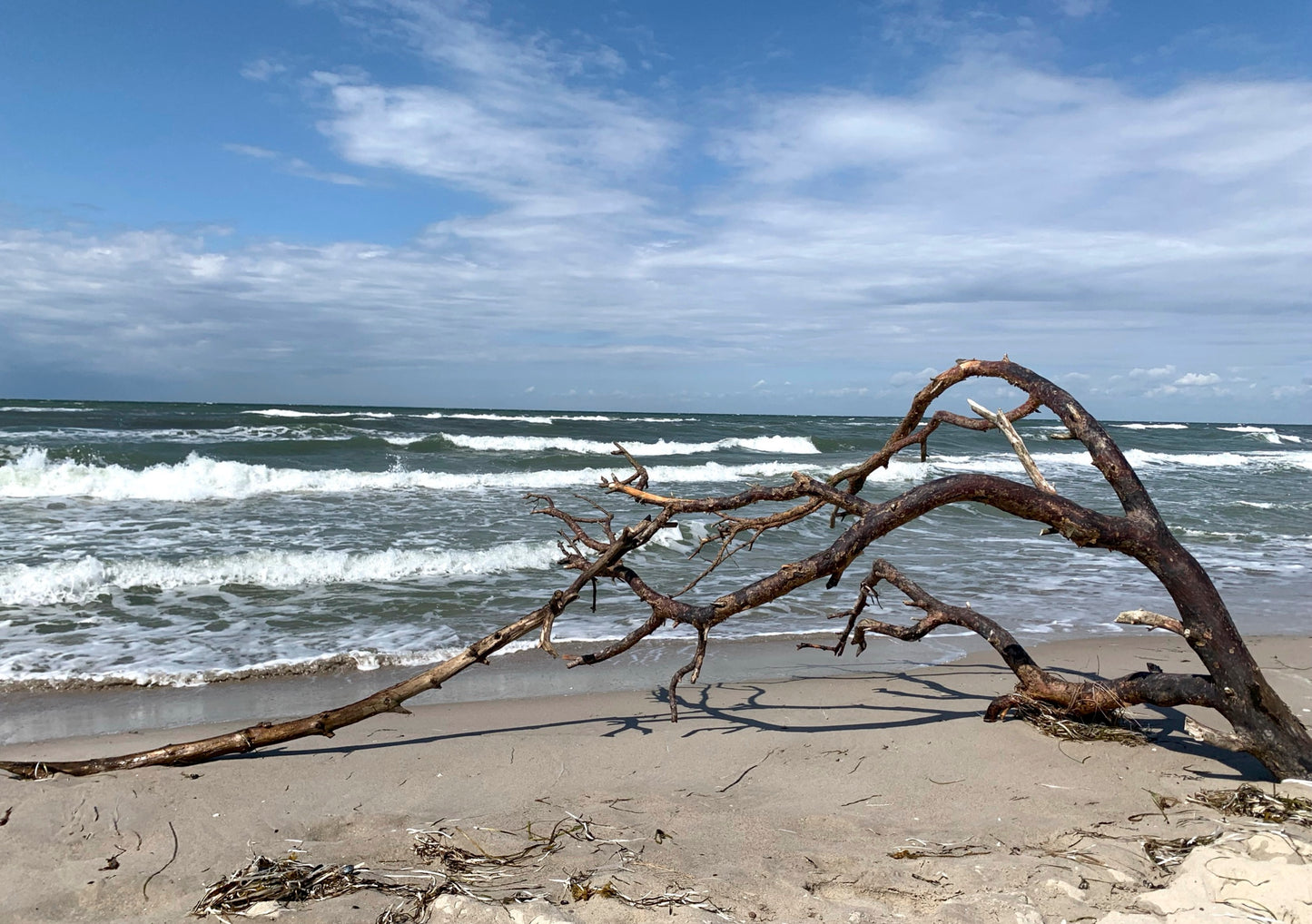Postkarte stürmische Ostsee