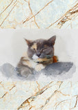 Notizbuch 'Aquarell Katzen'