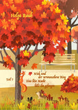 Der kleine Igel Nick - Band 4 Teil 7 + 8