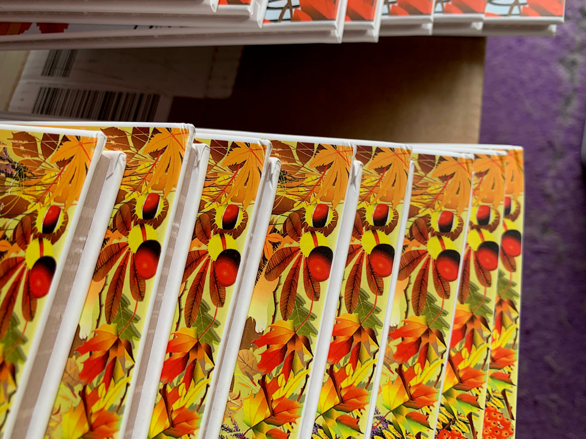 Der kleine Igel Nick - Band 1 mit Teil 1+2 - Gebrauchtes Buch