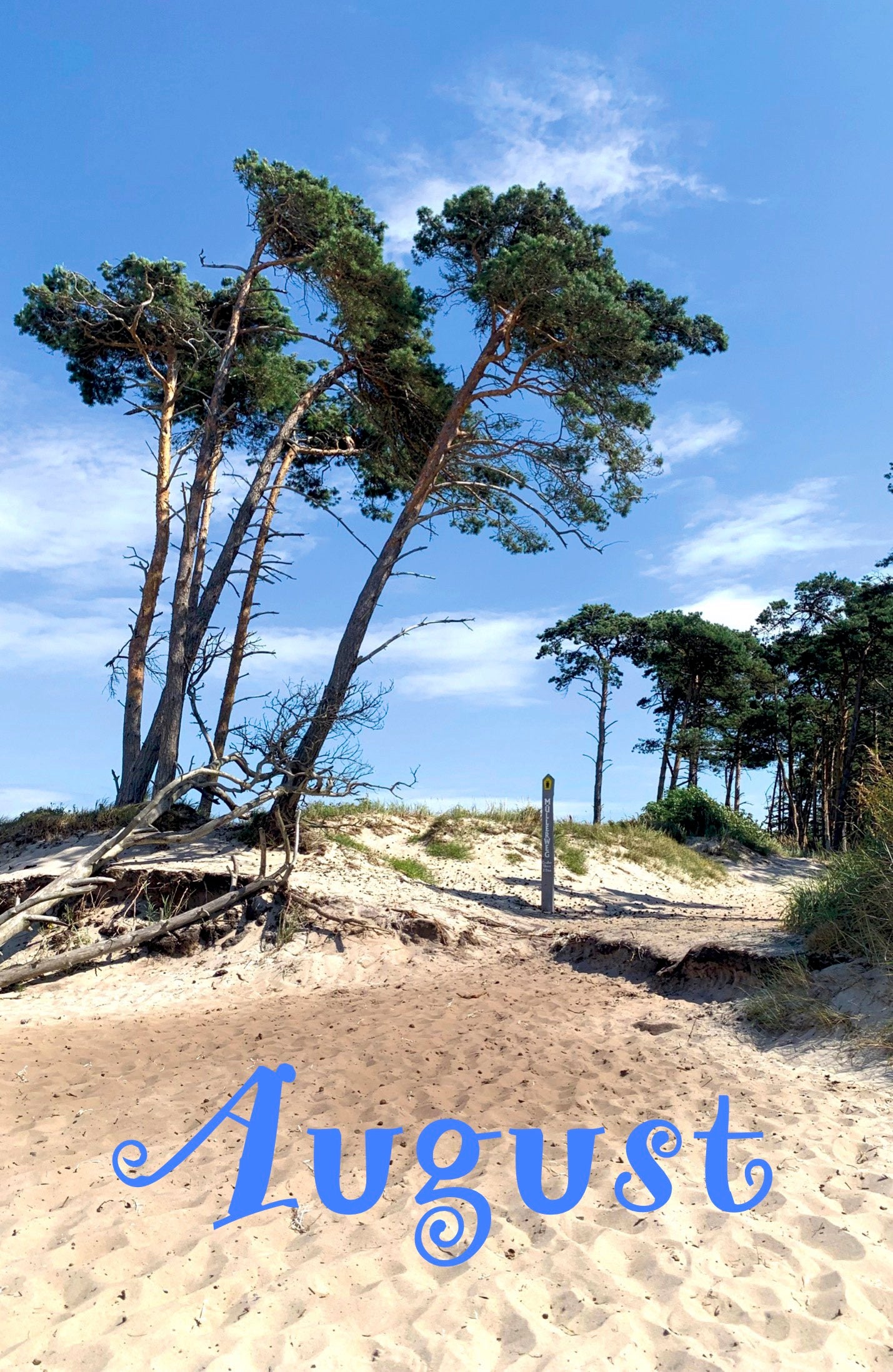 Kalender 2027 Ostsee Weststrand Darß