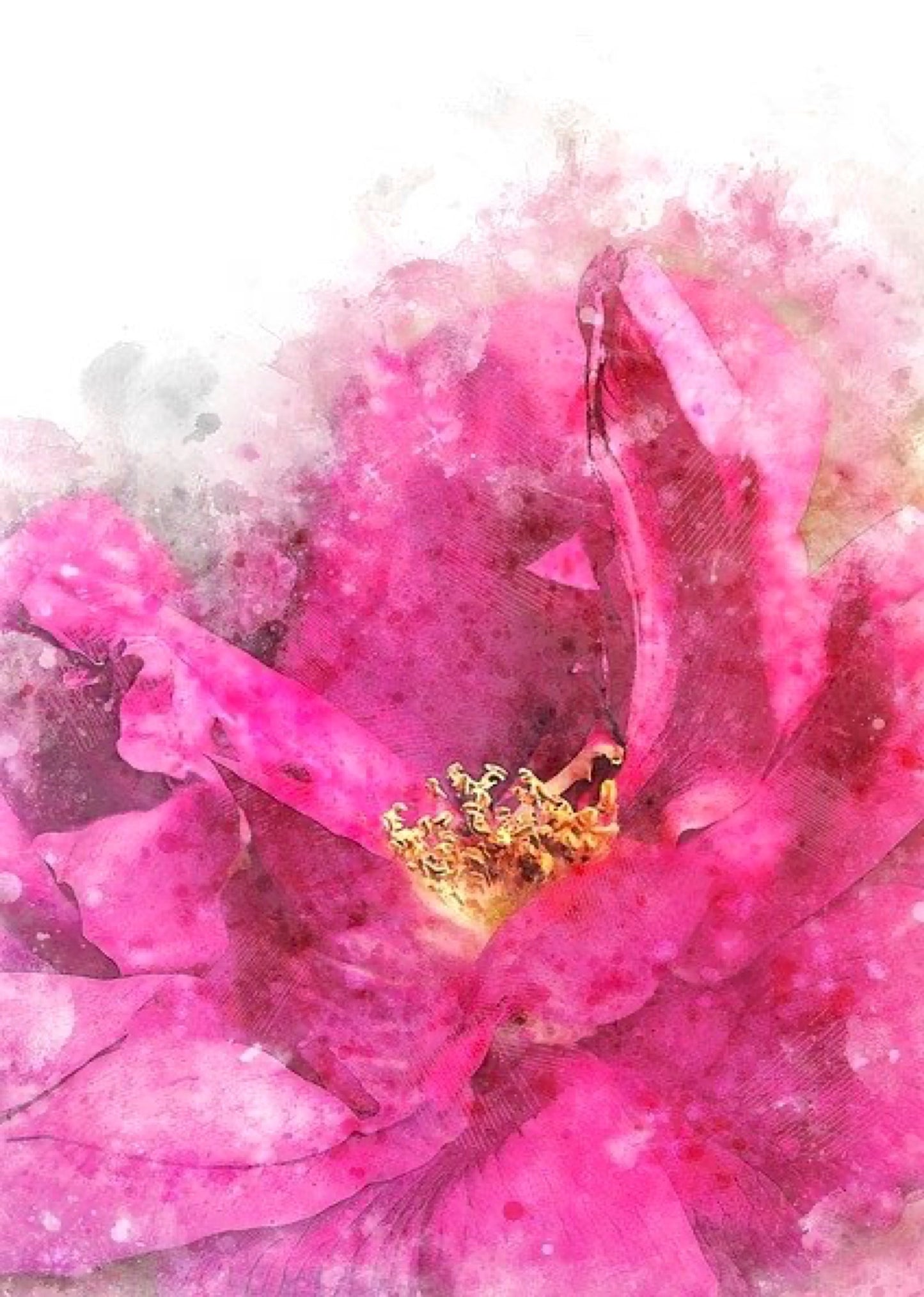 Notizbuch Rosen