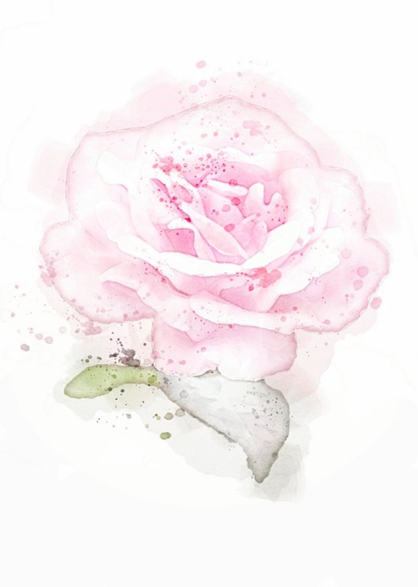 Notizbuch Rosen