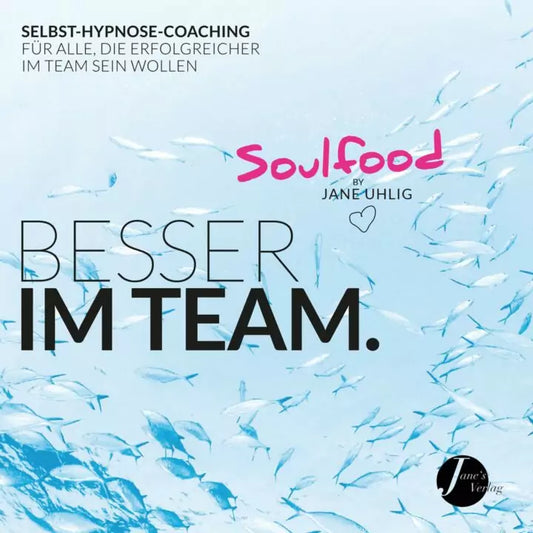 Besser im Team - Hörbuch