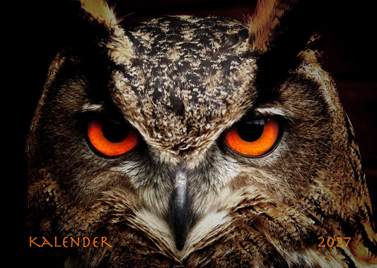 Wochenplaner Kalender 2027