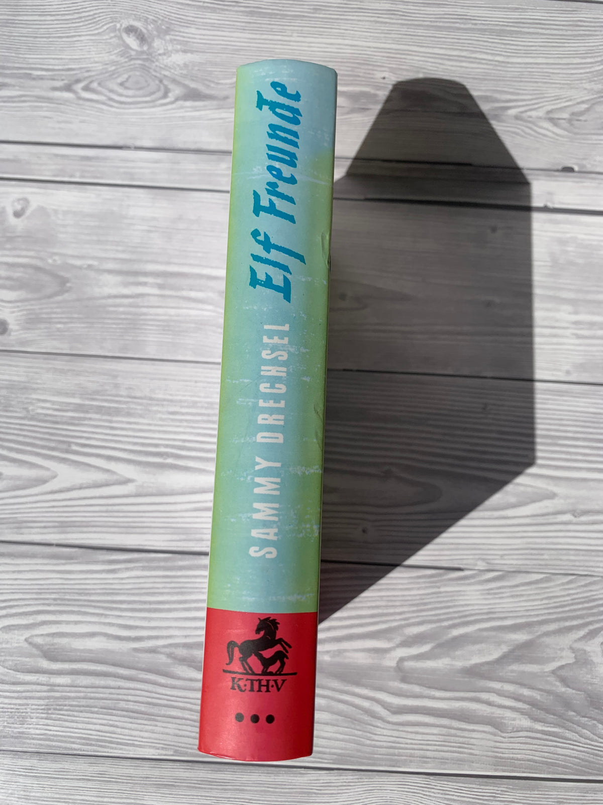 Elf Freunde müßt ihr sein - Gebrauchtes Buch