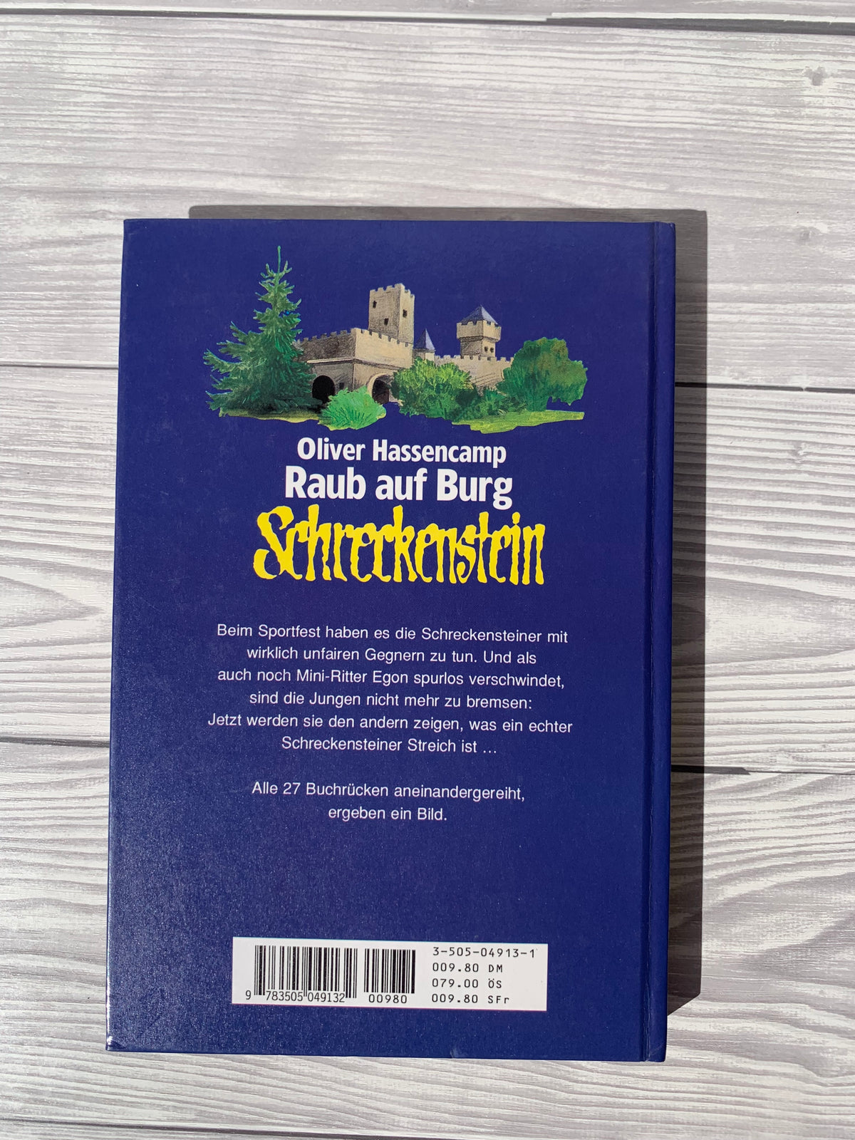 Raub auf Burg Schreckenstein - Gebrauchtes Buch