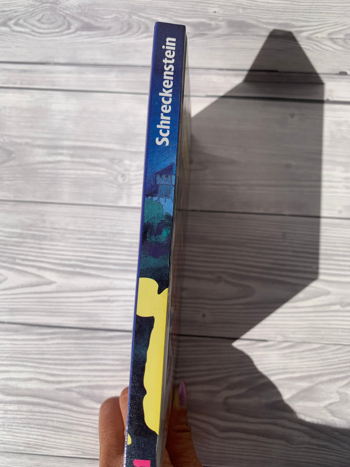 Raub auf Burg Schreckenstein - Gebrauchtes Buch