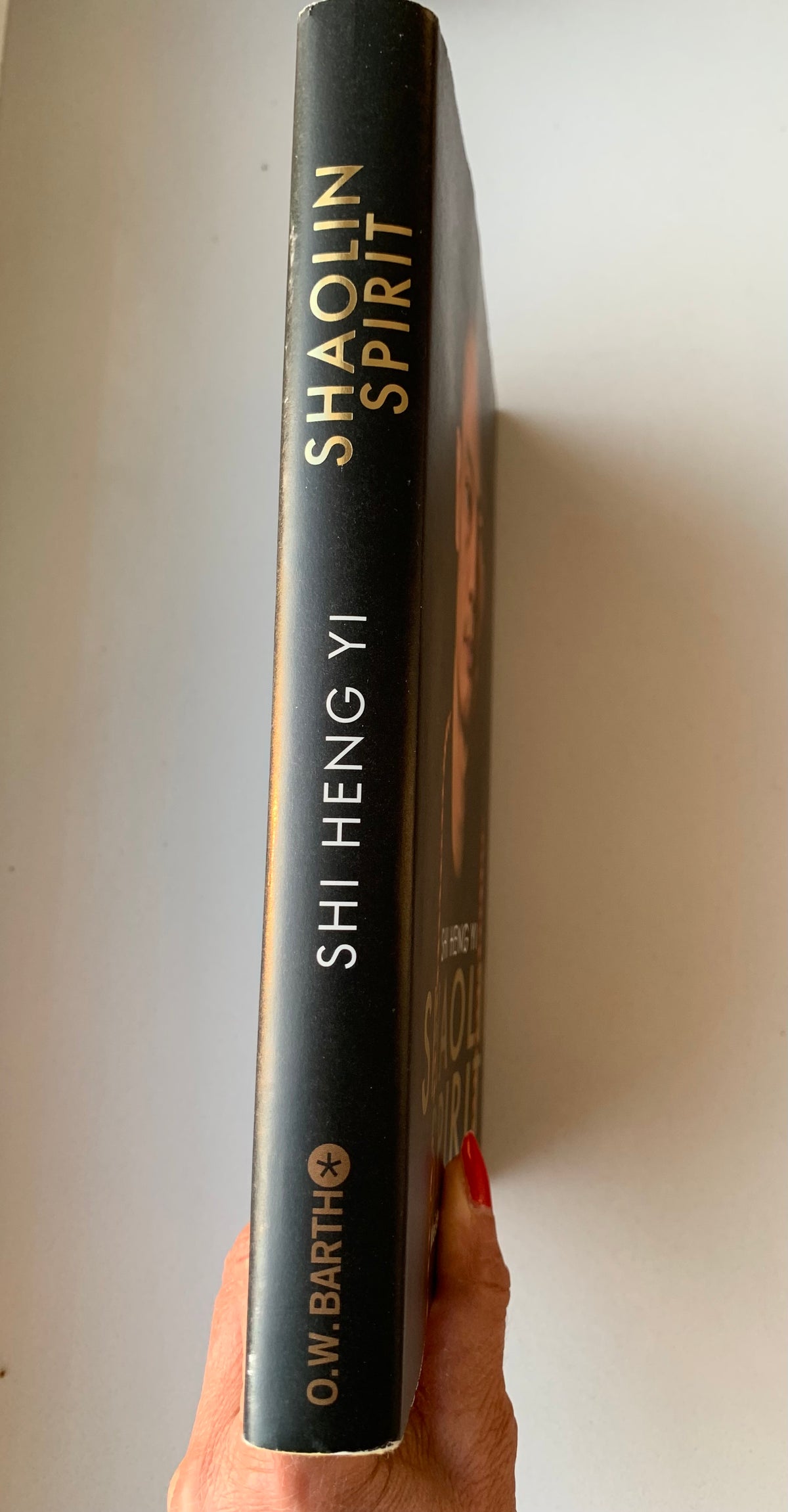 Shaolin Spirit - Gebrauchtes Buch