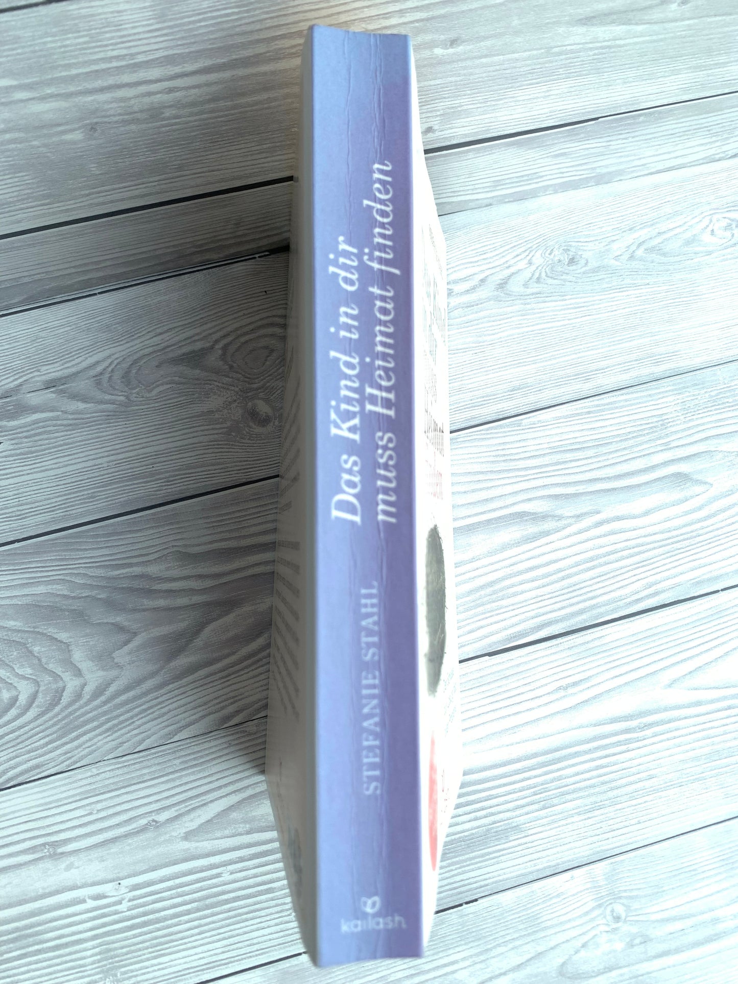 Das Kind in dir muss Heimat finden - Nachhaltiges Buch