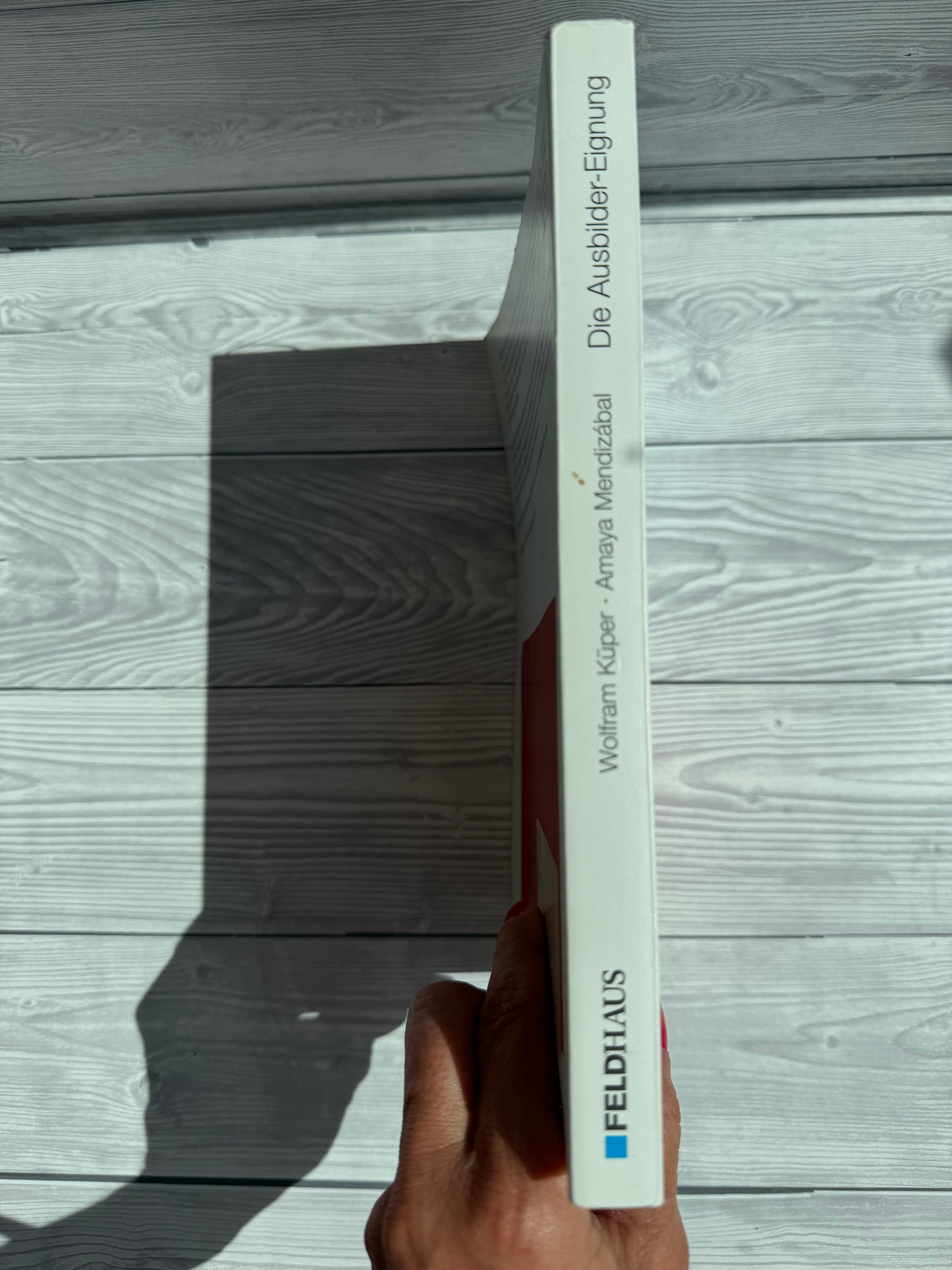 Die Ausbilder-Eignung - Nachhaltiges Buch