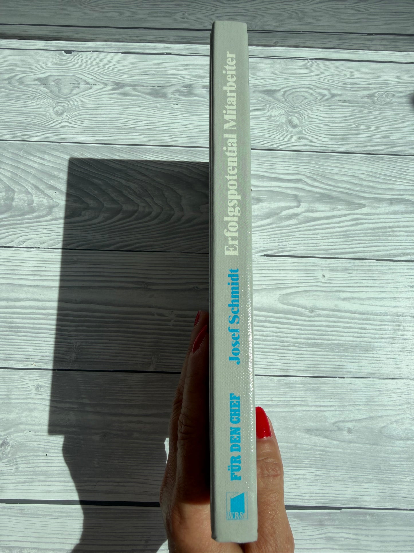 Erfolgspotential Mitarbeiter - Nachhaltiges Buch