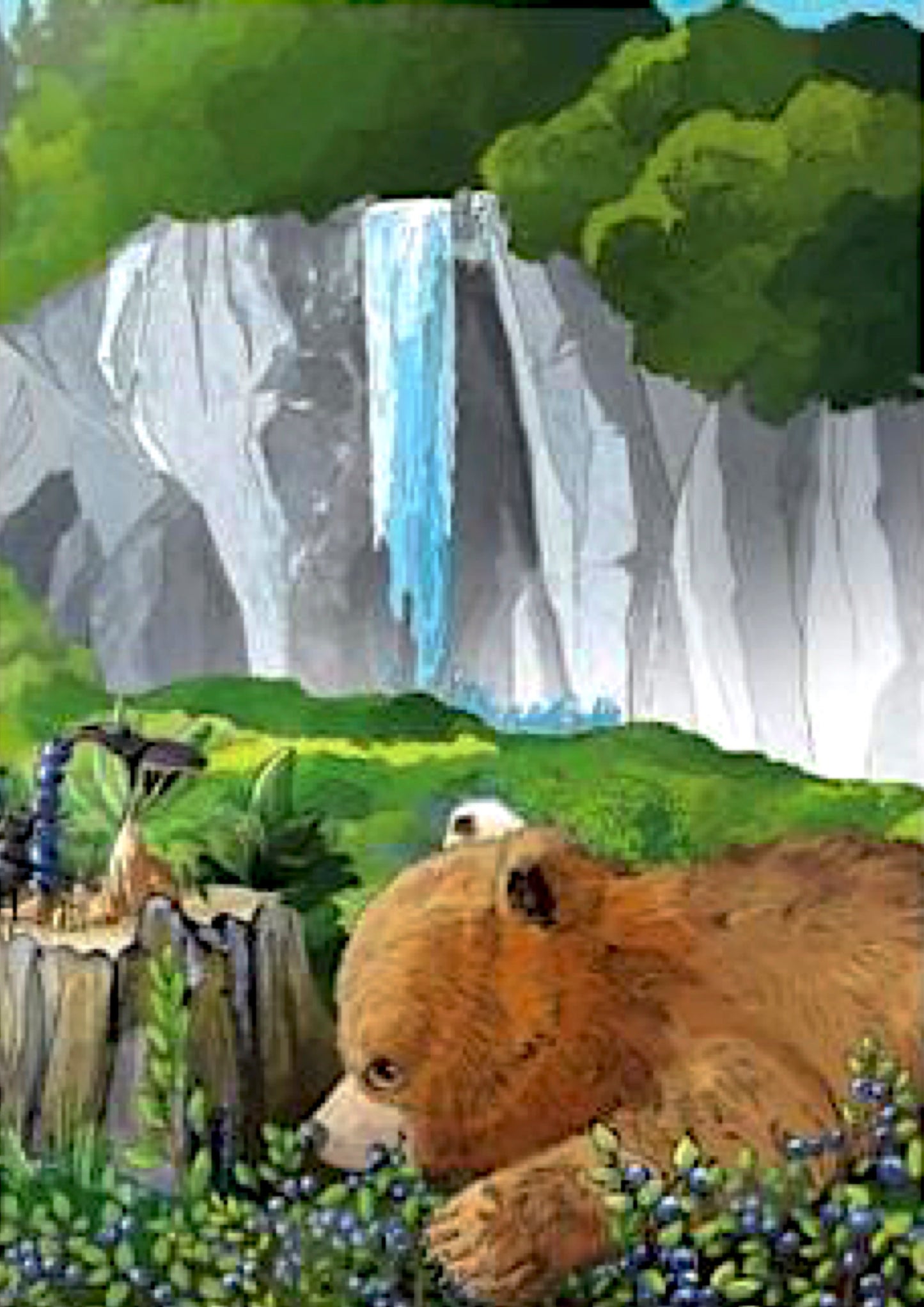 Mobsibär und die Blaubeeren - Hardcover