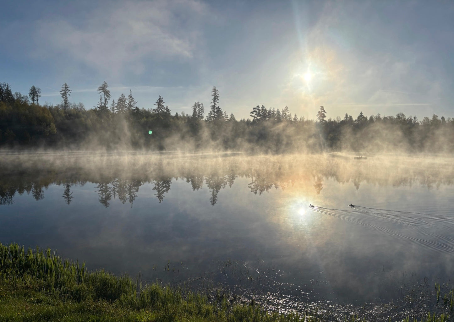 Nebel über dem See bei Sonnenaufgang
