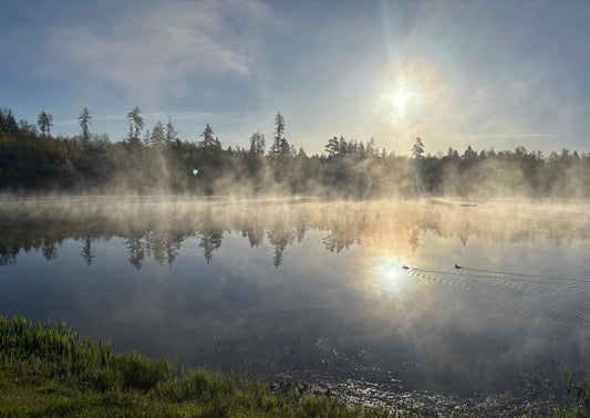 Nebel über dem See bei Sonnenaufgang