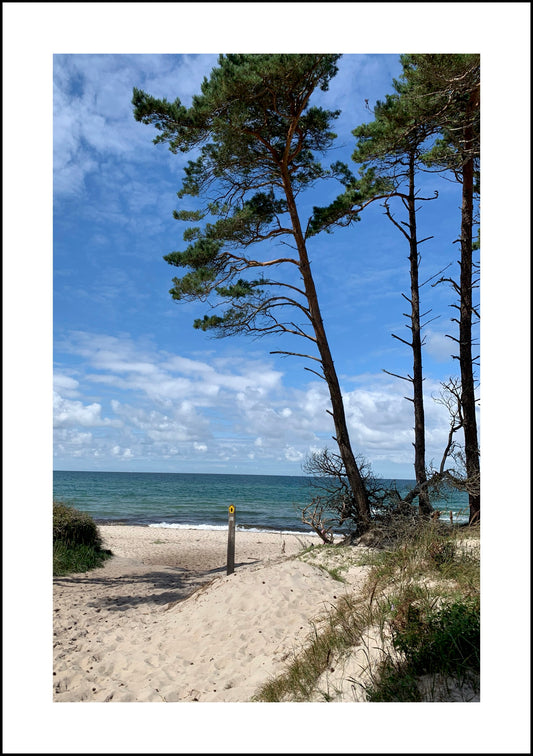 Postkarte Müllerweg Weststrand