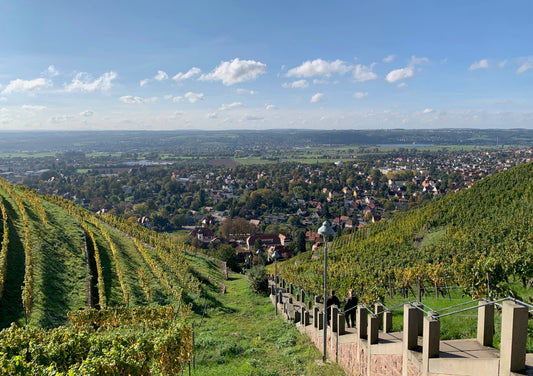 Postkarte Spitzhaustreppe Radebeul