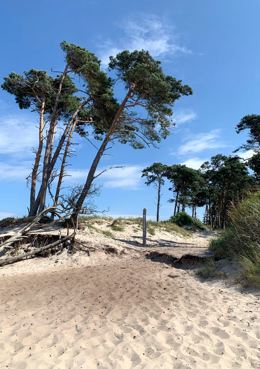 Postkarte Weststrand