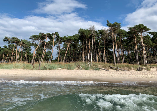 Postkarte Weststrand Darß