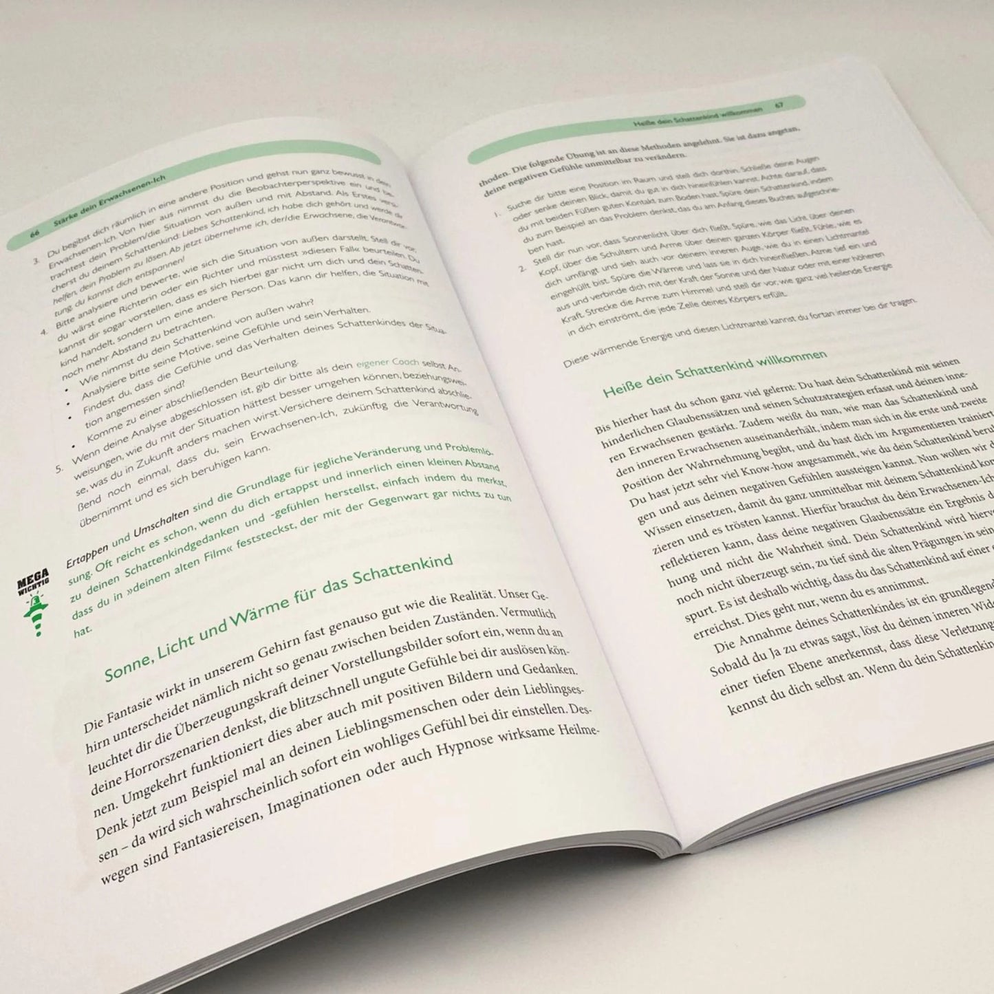 Das Kind in dir muss Heimat finden - Das Arbeitsbuch