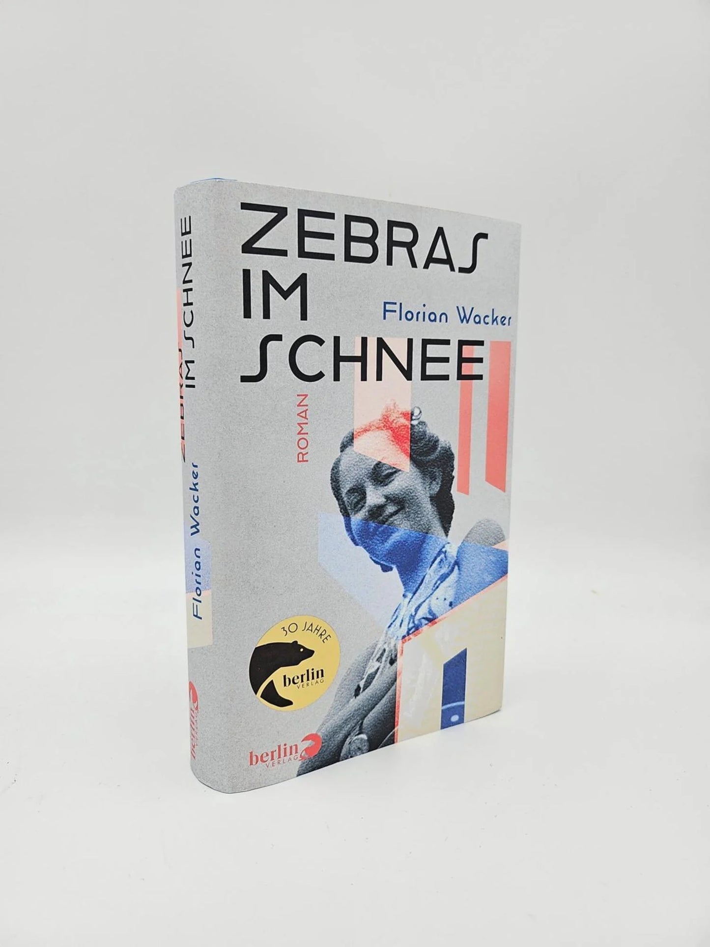 Zebras im Schnee