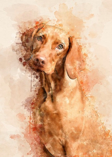 Notizbuch 'Aquarell Hunde'