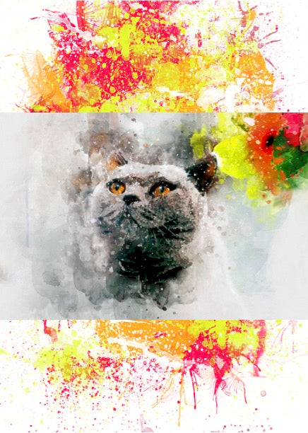 Notizbuch 'Aquarell Katzen'