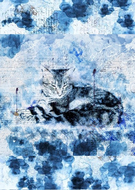 Notizbuch 'Aquarell Katzen'