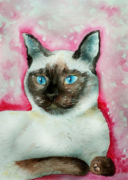Notizbuch 'Aquarell Katzen'