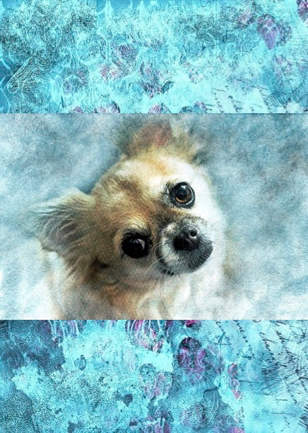 Notizbuch 'Aquarell Hunde'