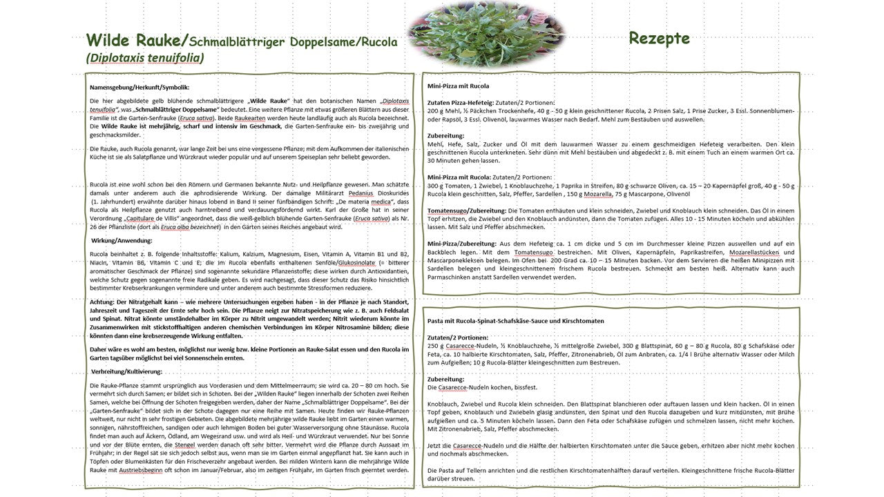 Kräuterkalender