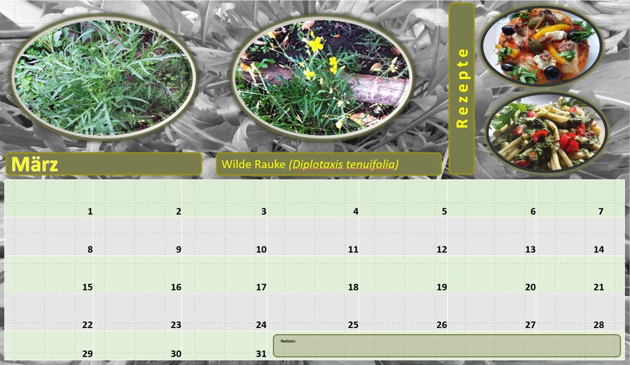 Kräuterkalender
