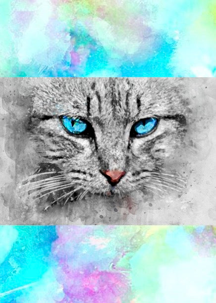 Notizbuch 'Aquarell Katzen'