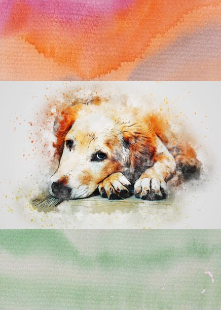 Notizbuch 'Aquarell Hunde'