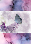 Notizbuch 'Aquarell Schmetterlinge'