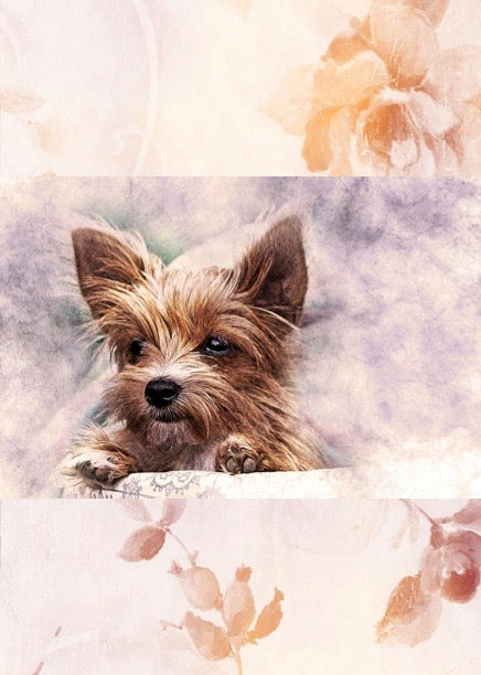 Notizbuch 'Aquarell Hunde'