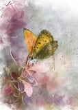 Notizbuch 'Aquarell Schmetterlinge'
