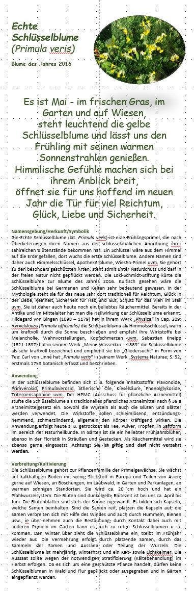 Blumenkalender