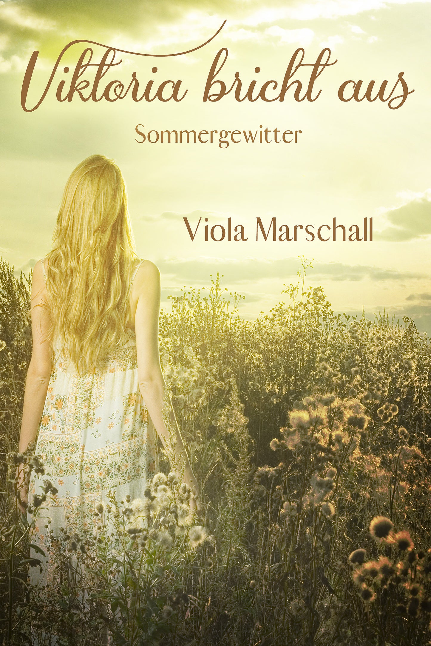Viktoria bricht aus - Sommergewitter